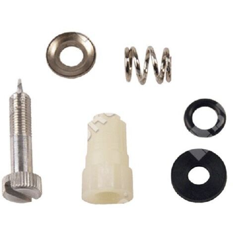 Kit vis de réglage pour carburateurs BRIGGS & STRATTON 395508 - 006666