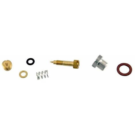 Kit vis de richesse BRIGGS ET STRATTON 299060