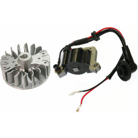 Kit Volano/Bobina decespugliatore 430 Euro1