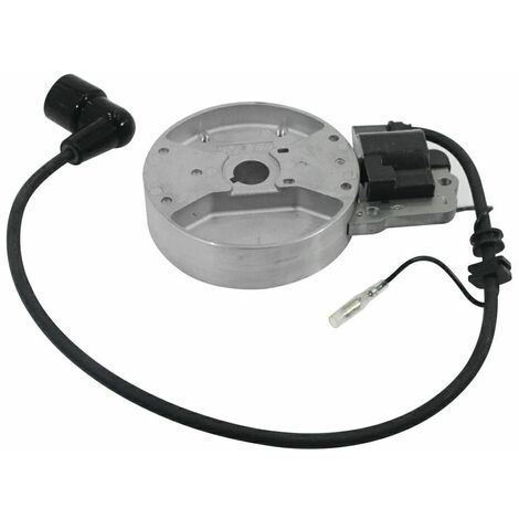 Kit volano bobina soffiatore EB800 atomizzatore 3WFB-30 KASEI EB-800-E.1.9