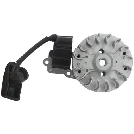 Kit volant électronique compatible moteur KASEI souffleur EBV230E
