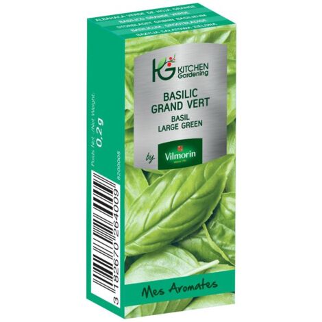 Kitchen Gardening - Basilic grand vert