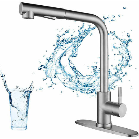 Kitchen Mixer Tap with Pull-out Spray 360 Rotating Kitchen Faucet with 2 Choice of Jets High Quality Brushed Steel Taps