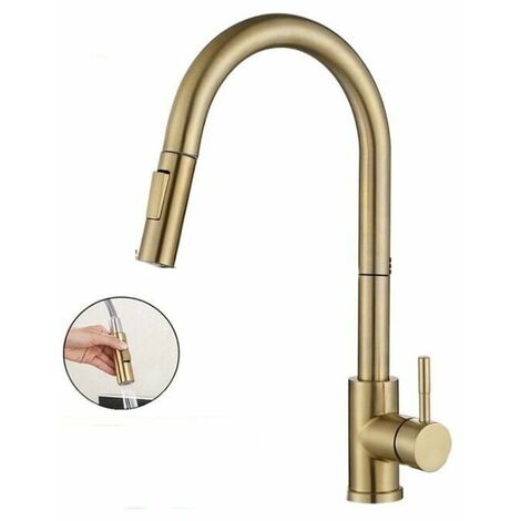 Kitchen Mixer Tap with Pull-Out Spray High Spout 360° Rotating Taps 2 Jet Modes Sink Faucet, Brushed Gold