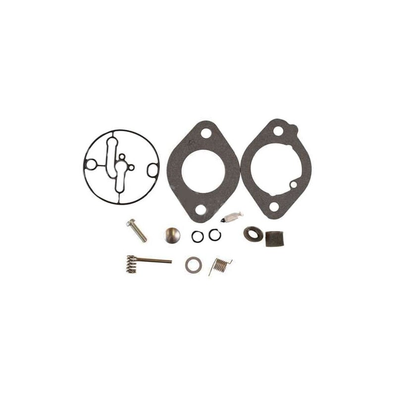 Briggs&stratton - Kits carburateur briggs et stratton 594212 - 84001917