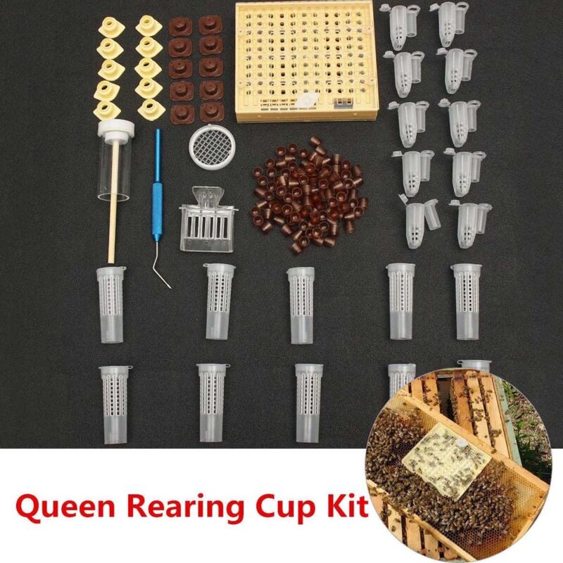 Tonchean - Kits de construction apicole, kits d'outils pour abeilles, systèmes d'élevage, cages complètes, aides apicoles