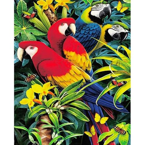 Kits de pintura de diamantes 5D para adultos Taladro completo Pájaros Equipo Bordado Pintura de diamantes de imitación