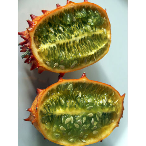 Kiwano le sachet de 20 graines