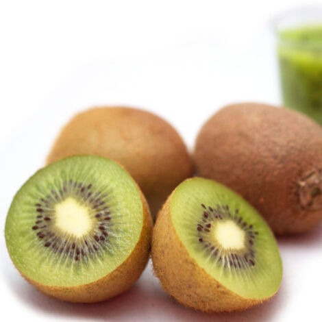 Kiwi chinensis Solissimo® 'Renact' (Autofertile)