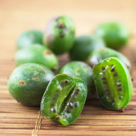 Kiwi de Sibérie arguta Weiki (Femelle)