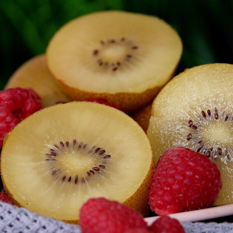 Kiwi deliciosa 'Golden Kiwi' (Femelle)/Pot de 3L