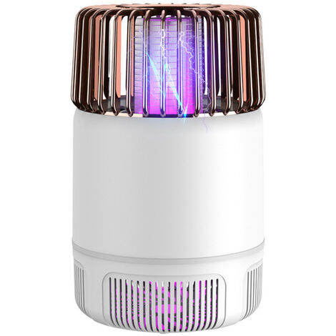 Lampe Insecte A Prix Mini