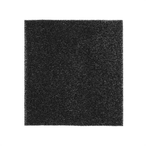 Klarstein Filtre à charbon actif pour déshumidificateurs DryFy 20 & 30 20 x 23,1 cm
