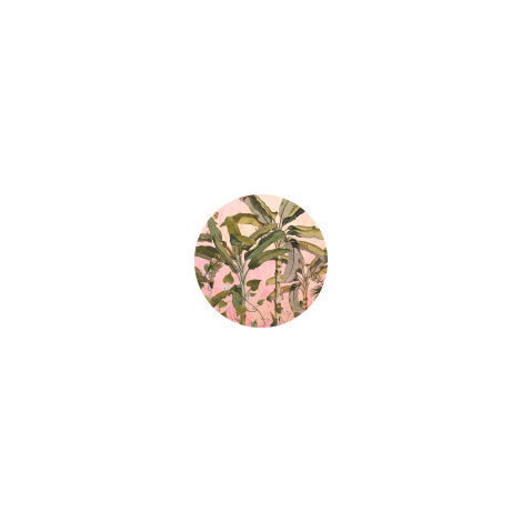 Komar Botany 125 x 125 cm, Stickers pour les murs D1-029
