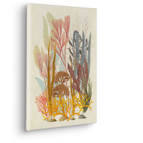 Komar Canvasbild Coral Aqua - 40 x 30 cm - Bild auf Keilrahmen - Maritim