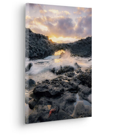 Komar Canvasbild Golden Eye - 40 x 30 cm - Bild auf Keilrahmen - Naturmotiv