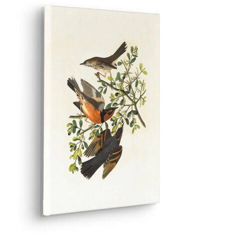 Komar Canvasbild Heidi - 40 x 30 cm - Bild auf Keilrahmen - Naturmotiv