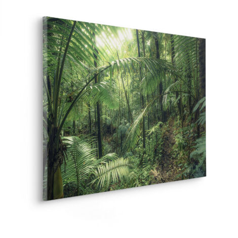 Komar Canvasbild Jungleflair - 60 x 90 cm - Bild auf Keilrahmen - Naturmotiv