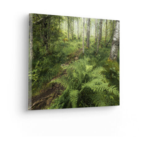 Komar Canvasbild Mystic Birch Grove - 30 x 40 cm - Bild auf Keilrahmen - Naturmotiv