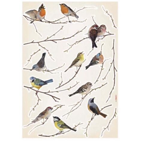 Komar Decosticker Vogel 50 x 70 cm Wandtattoos