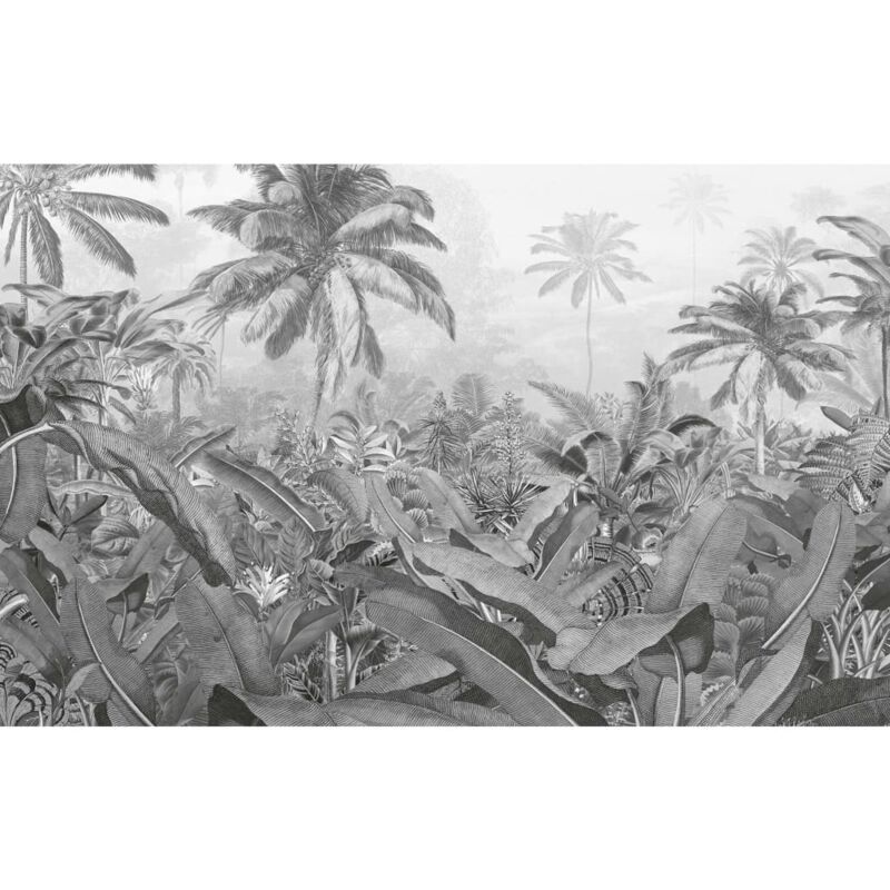 

Komar Mural fotográfico Amazonia negro y blanco 400x250 cm - Multicolor