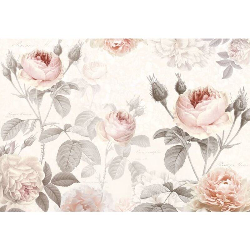 

Komar Mural fotográfico La Maison 368x248 cm XXL4-034 - Multicolor