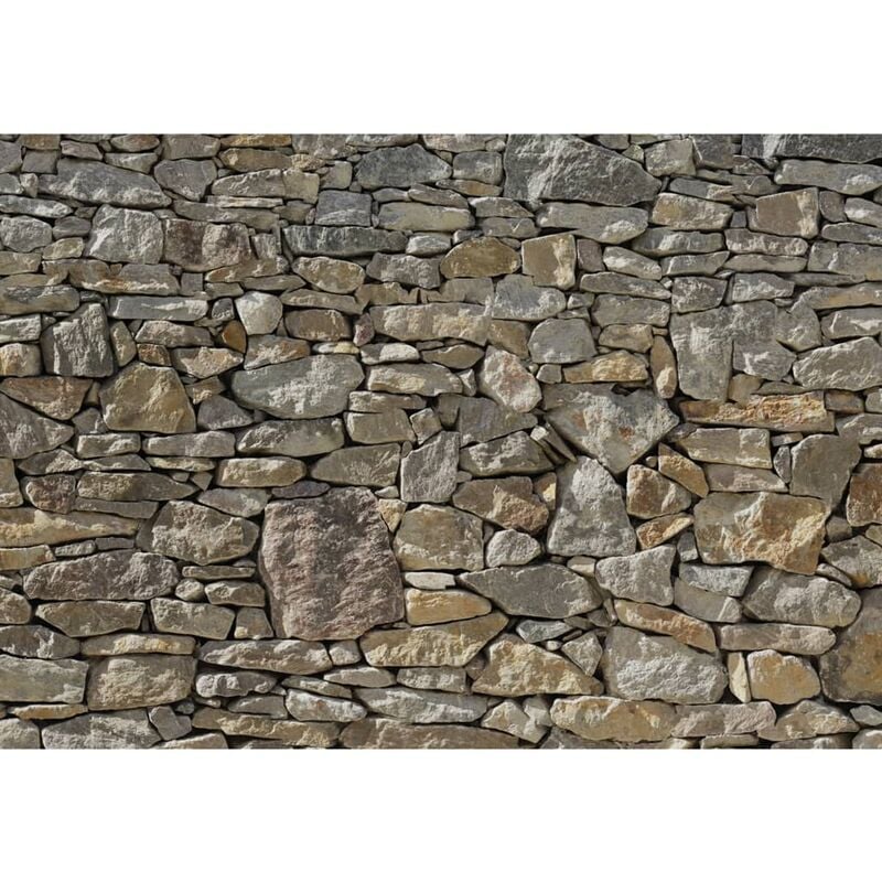 

Komar Mural fotográfico Stone Wall 368x254 cm 8-727 - Marrón