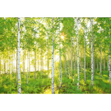 Komar Sunday 368 x 248 cm, Papier peint panoramique XXL4-519, photomurale sur intissé