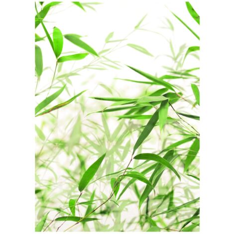 Komar Tableau Mural avec Feuilles de Bambou - Poster Mural - Décoration pour Salon, Chambre à Coucher - sans Cadre - P060-30 x 40 cm - Dimensions : 30 x 40 cm (l x H)