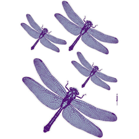 Komar Wandaufkleber - Libelle - 70 x 50 cm - selbstklebender Wandsticker