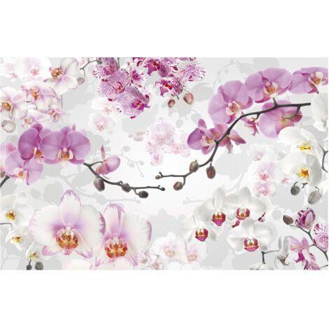 Komar Wandtapete - Allure - 260 x 400 cm - Vlies Digitaldruck - Modern