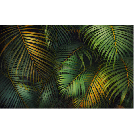 Komar Wandtapete - Amazon Fern - 250 x 400 cm - Vlies Digitaldruck - Mediterran Naturmotiv