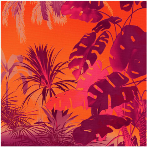Komar Wandtapete - Funky Jungle - 250 x 250 cm - Vlies Digitaldruck - Mediterran