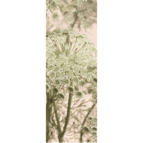 Komar Wandtapete - Mellow - 280 x 100 cm - Vlies Digitaldruck - Naturmotiv