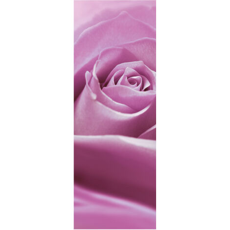 Komar Wandtapete - Pink Rose - 280 x 100 cm - Vlies Digitaldruck - klassischer Stil