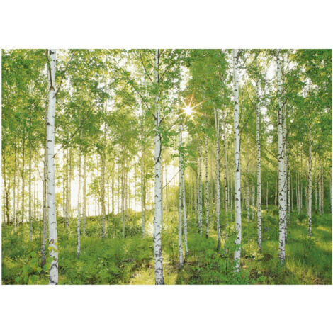Komar Wandtapete - Sunday - 250 x 350 cm - Digitaldruck - Naturmotiv