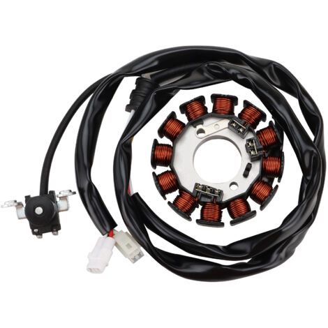 Kompatibel mit der Stator-Magnetspule des Offroad-Motorrads Yamaha WR450F 2003-2006, Originalteilenummer 5TJ-81410.