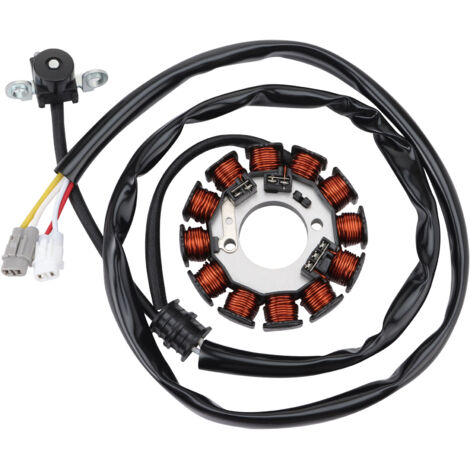 Kompatibel mit der Statorspule, der Magnetspule und der Generatorladespule des Yamaha WR250F Motorrads (kompatibel mit den Modellen 2004-2009 und 2011-2014).