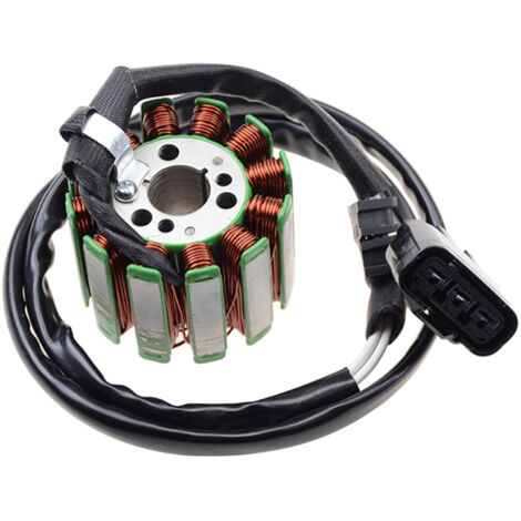 Kompletter Satz Magnete für die Zündstatorspulen der Motorräder YZF R1 (2004–2008) und FZ1 (2006–2010)
