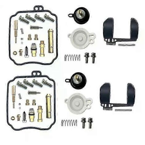 Komplettes Vergaser-Reparaturset für Yamaha V-STAR / DRAGSTAR XVS650-lsw