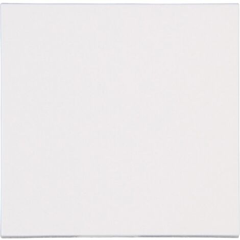 KOPP 490029008 BLANC PLAQUE DE COMMUTATION ET OBTURATEUR