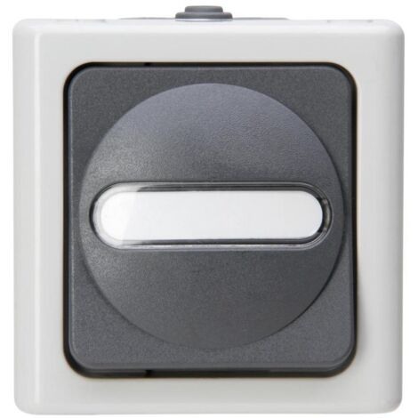 Kopp AP-FR AUS/WE-SCHALTER BEL. GR (560656006 BLUE ELEC)