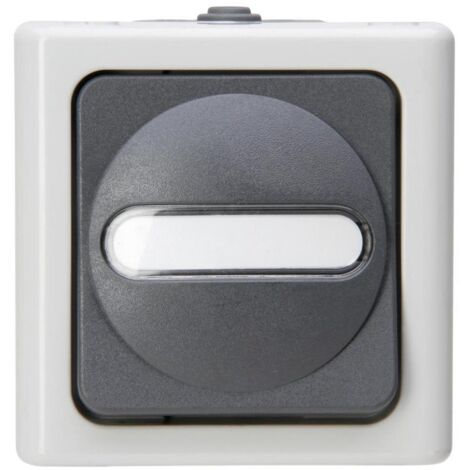 Kopp AP-FR TASTER SCHL. BEL. GRAU (560856002 BLUE ELEC)