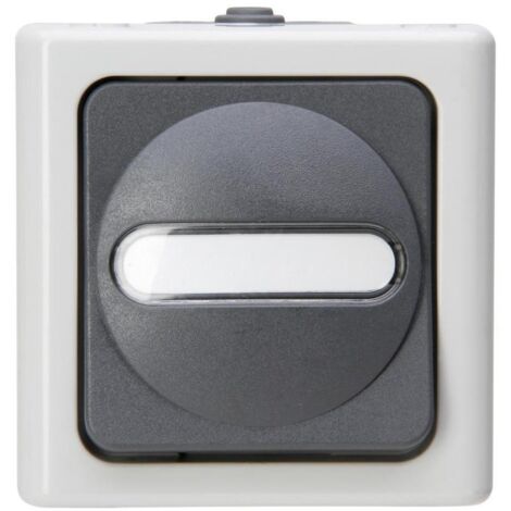 Kopp AP-FR TASTER WE BEL. GRAU (561456001 BLUE ELEC)
