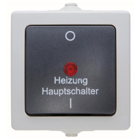 Kopp Feuchtraum Heizungshauptschalter Nautic, grau, 565356002 Kopp