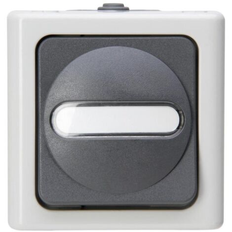 KOPP Kreuzschalter gr mt BLUEELECTRIC m.Glimm AP IP44 1f 10AX 560756009