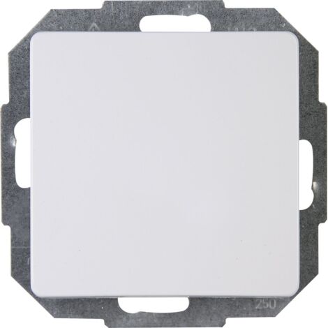 Kopp Taster 10AX, 250 V PARIS, arktis