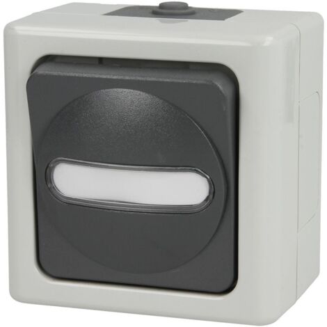 KOPP TASTER WECHSLER AP-FEUCHTRAUM AZUL GRIS ELÉCTRICO 10A, 250V 561456001
