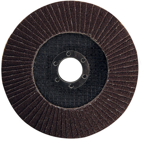 Korund Fächerscheibe 125 mm K60