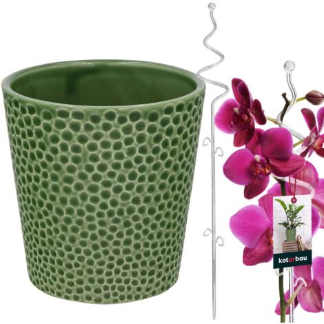 KOTARBAU® Set de pots de fleurs verts 11 cm avec support transparent 58 cm pour fleurs Pot de fleurs en céramique Ensemble de supports de plantes en plastique pour orchidées